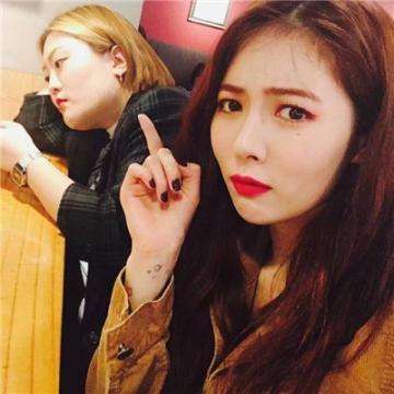 开云·体育(kaiyun)下载手机版